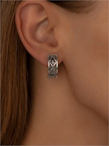 {{photo.Alt || photo.Description || 'Серьги из серебра'}}