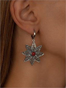 {{photo.Alt || photo.Description || 'Серьги из серебра с сердоликом'}}