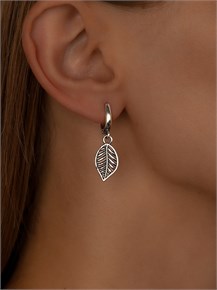 {{photo.Alt || photo.Description || 'Серьги из серебра'}}