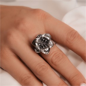 {{photo.Alt || photo.Description || 'Кольцо из серебра'}}