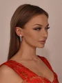Серьги из серебра 3534