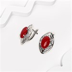 Серьги из серебра с кораллом 2730 Серьги из серебра с кораллом 2730